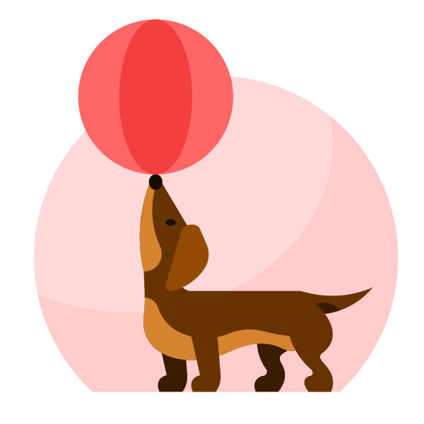 Perro de patas cortas equilibrando la pelota