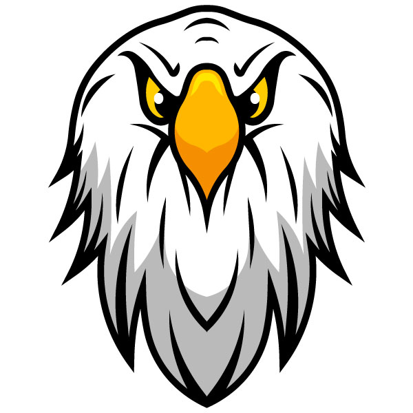 Cabeza de águila calva