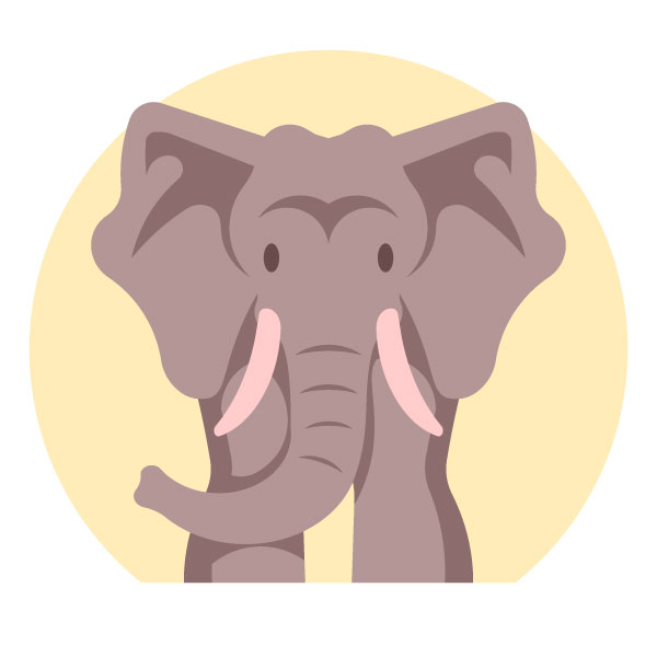 Elefante mirando fijamente