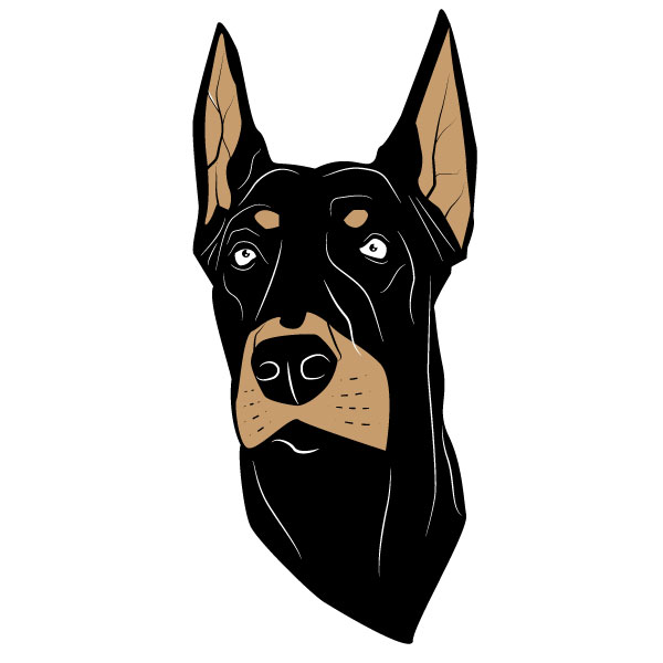 Cabeza de perro Dobermann