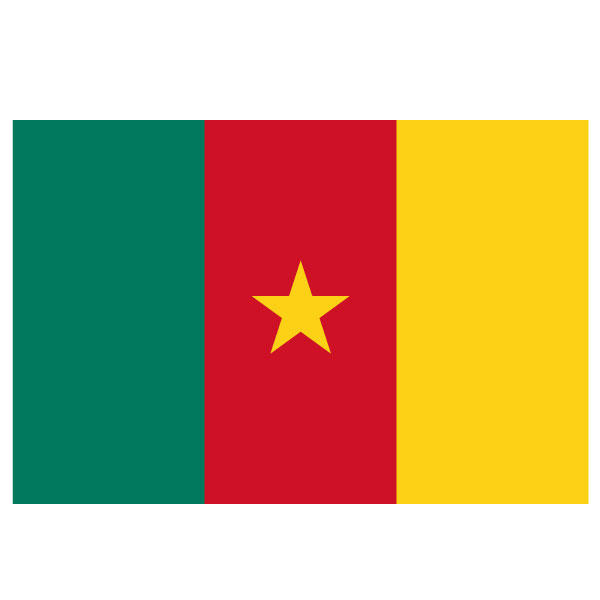 Bandera de Camerún