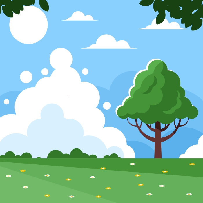 Campo de hierba verde