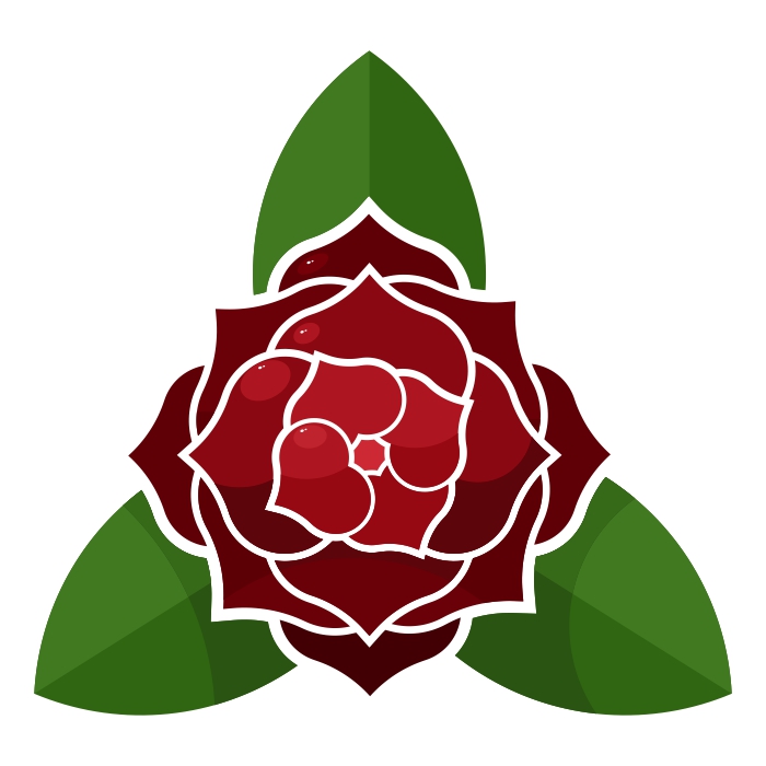 Rosenblüte mit Blättern