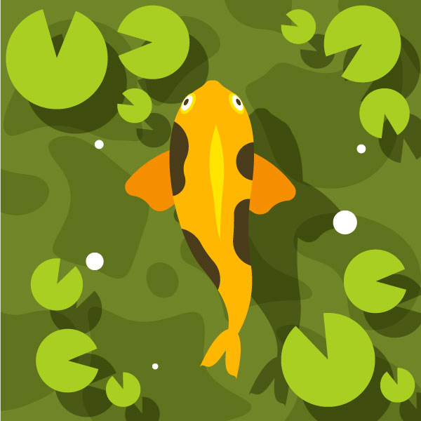 Peces amarillos en el agua