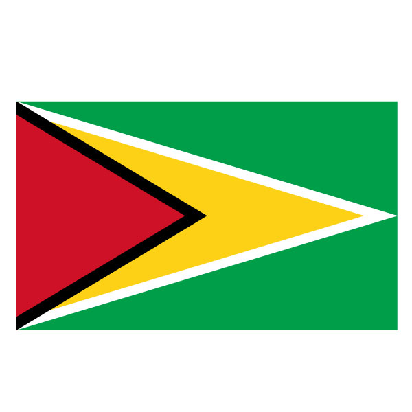 Flagge von Guyana