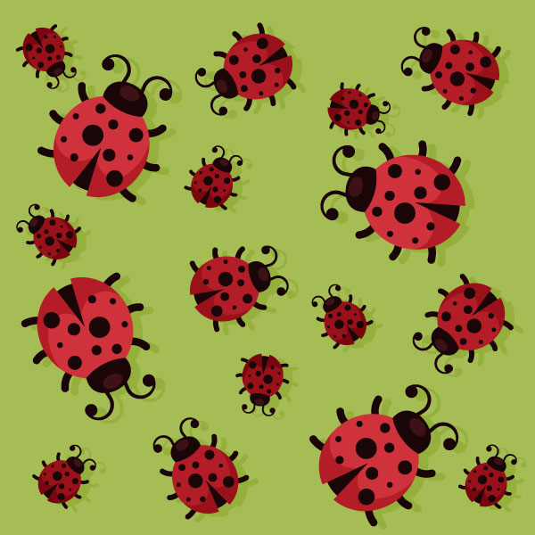 Marienkäfer Muster