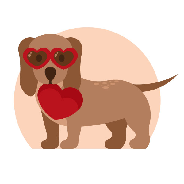 Perro con gafas en forma de corazón