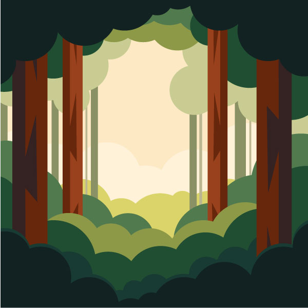 Paisaje de bosque profundo