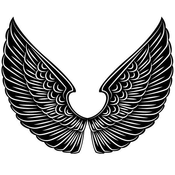 Alas blancas y negras